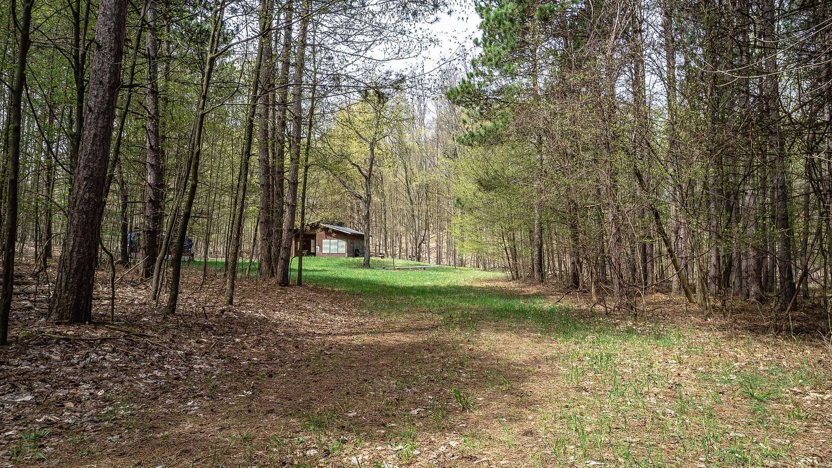 26.7 Acres of Land for Sale in Hart, Michigan