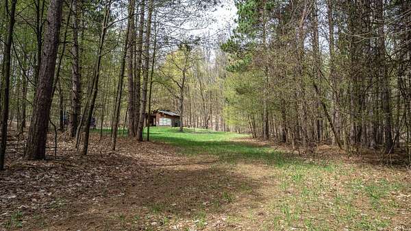 26.7 Acres of Land for Sale in Hart, Michigan