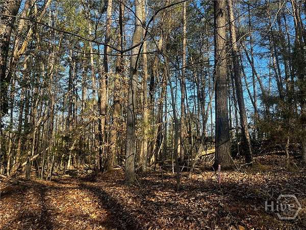 0.41 Acres of Residential Land for Sale in Lavonia, Georgia