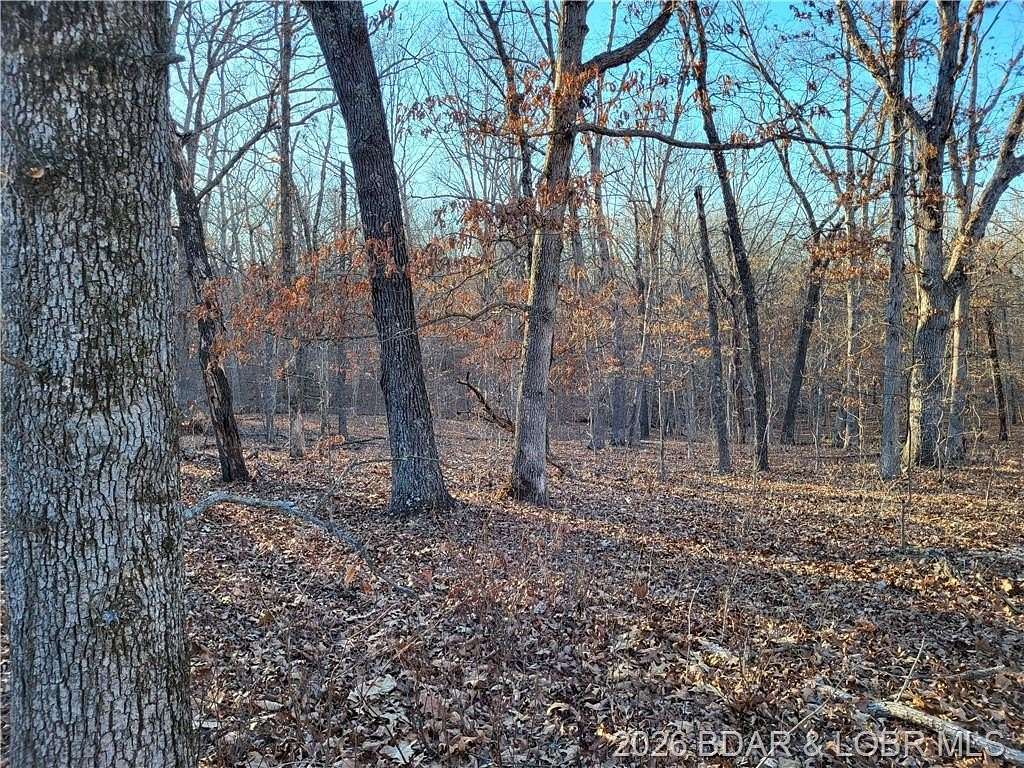 2.6 Acres of Residential Land for Sale in Edwards, Missouri