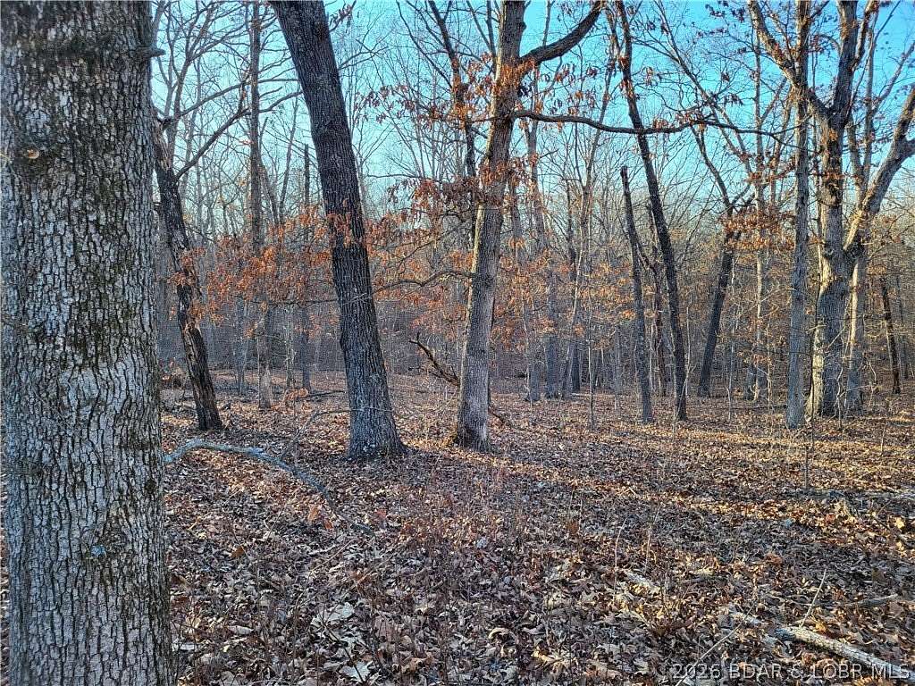 2.6 Acres of Residential Land for Sale in Edwards, Missouri