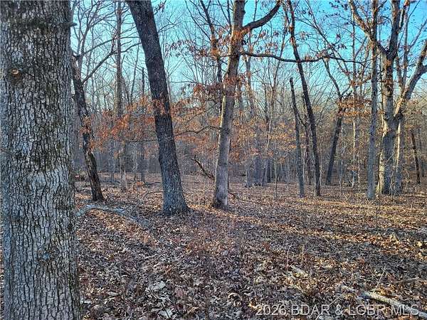 2.6 Acres of Residential Land for Sale in Edwards, Missouri