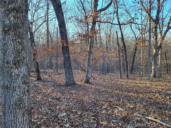 2.6 Acres of Residential Land for Sale in Edwards, Missouri