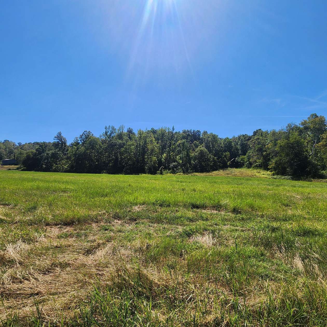 78.7 Acres of Land with Home for Sale in Bumpus Mills, Tennessee
