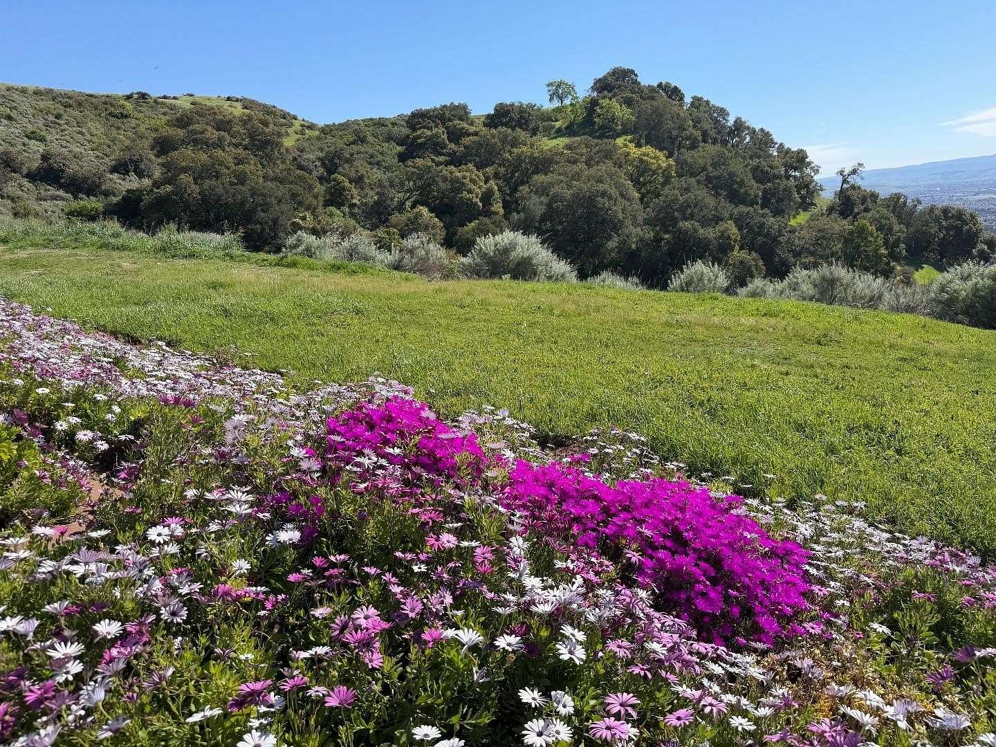 31.1 Acres of Land for Sale in San Jose, California