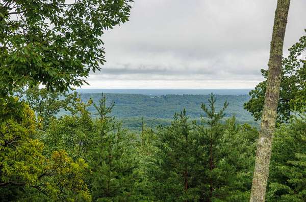 347 Acres of Recreational & Residential Land for Auction in Schuyler, Virginia