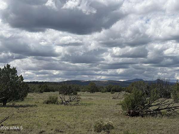 40 Acres of Land with Home for Sale in Ash Fork, Arizona