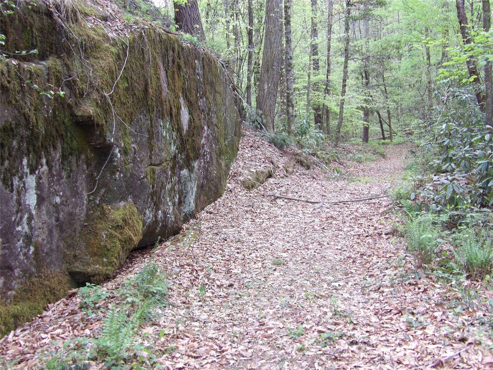89.6 Acres of Recreational & Residential Land for Sale in Lenoir, North Carolina
