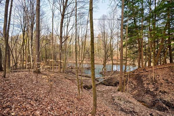13.5 Acres of Land for Sale in Sanford, Michigan
