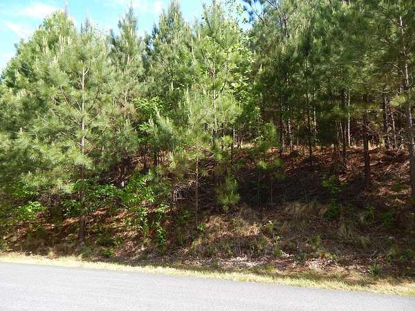 3 Acres of Residential Land for Sale in Blairsville, Georgia