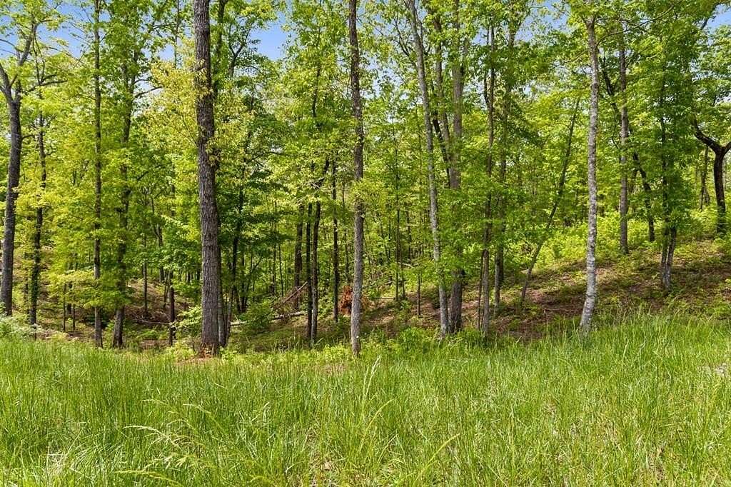 1.37 Acres of Land for Sale in Ellijay, Georgia