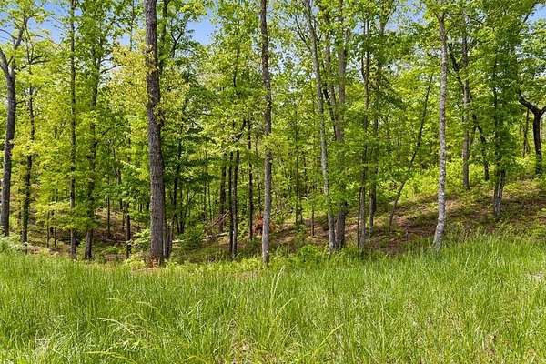 1.37 Acres of Land for Sale in Ellijay, Georgia