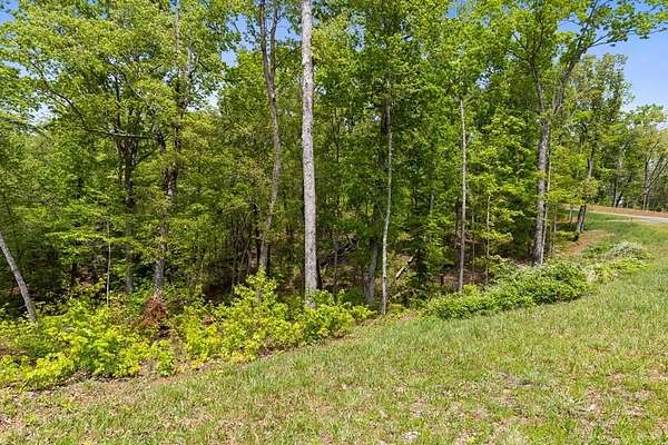 1.37 Acres of Land for Sale in Ellijay, Georgia