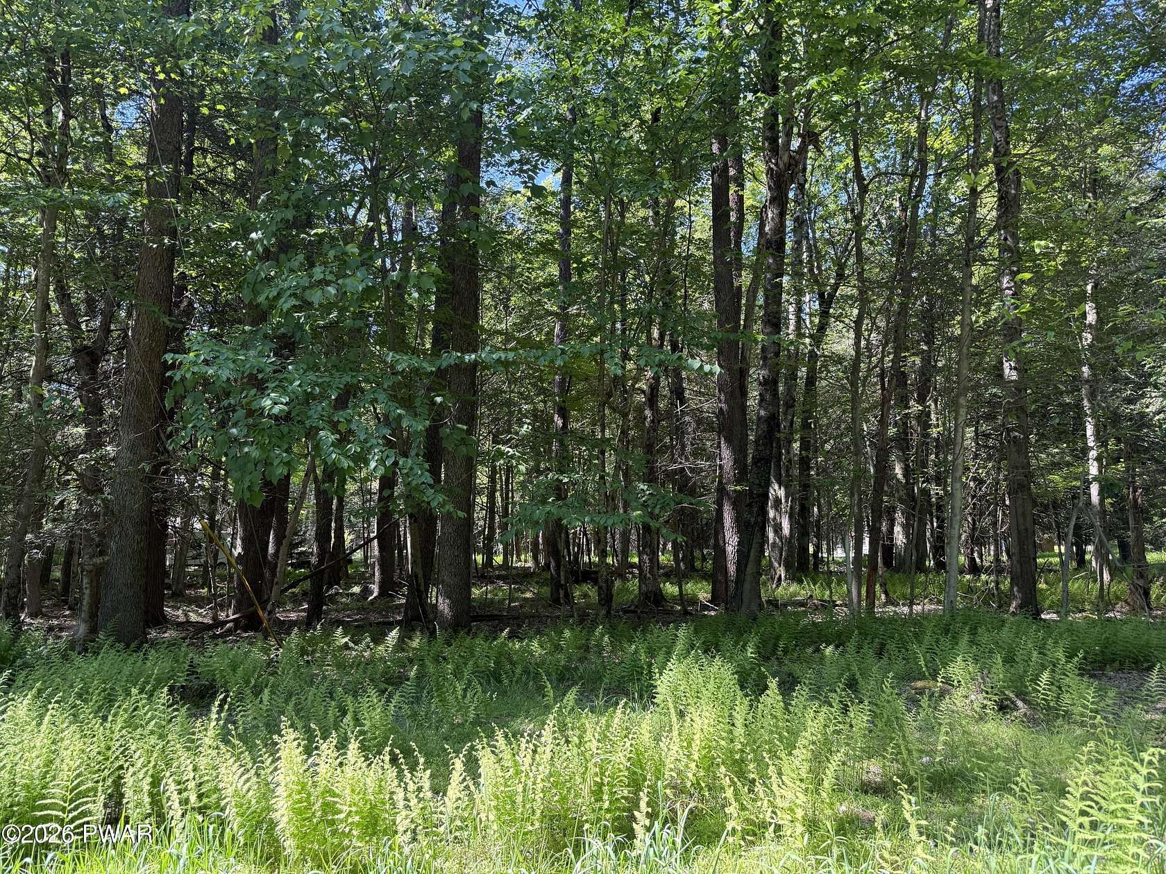 0.29 Acres of Land for Sale in Newfoundland, Pennsylvania