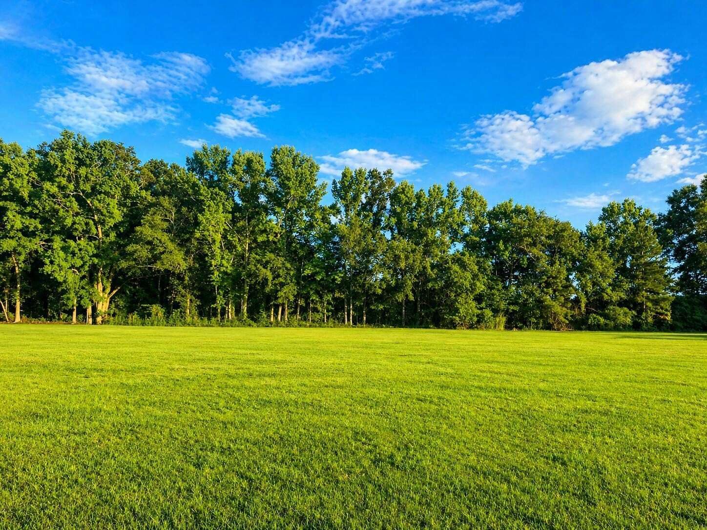 1 Acre of Residential Land for Sale in Sumter, South Carolina