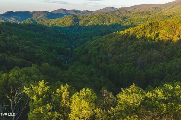 76.3 Acres of Recreational Land for Sale in Flag Pond, Tennessee
