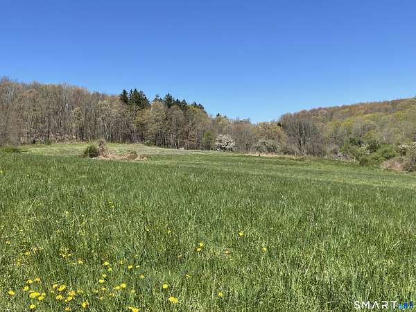 26.5 Acres of Recreational & Residential Land for Sale in Roxbury, Connecticut