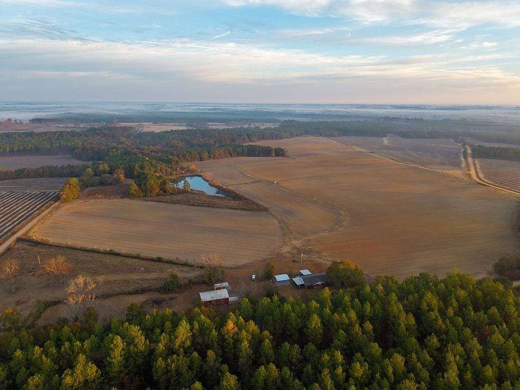 172 Acres of Land with Home for Sale in Ty Ty, Georgia