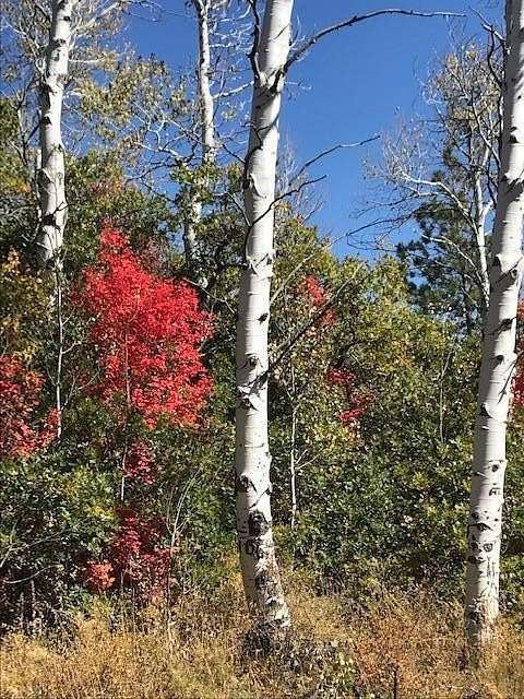 1 Acre of Residential Land for Sale in Springdale, Utah