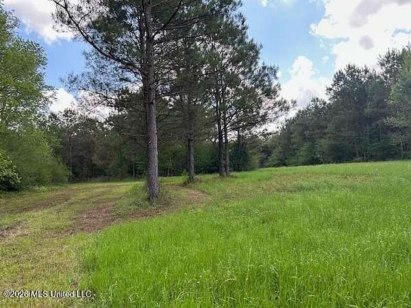 65 Acres of Recreational & Residential Land for Sale in Tylertown, Mississippi