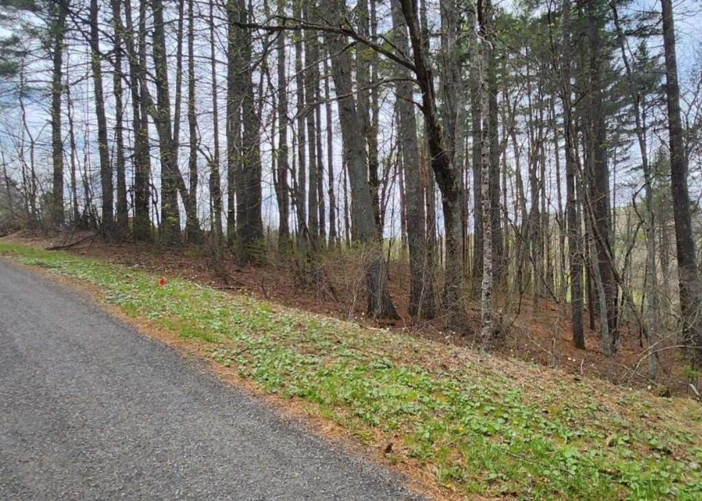 0.9 Acres of Residential Land for Sale in Laurel Fork, Virginia