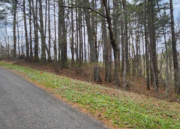 0.9 Acres of Residential Land for Sale in Laurel Fork, Virginia