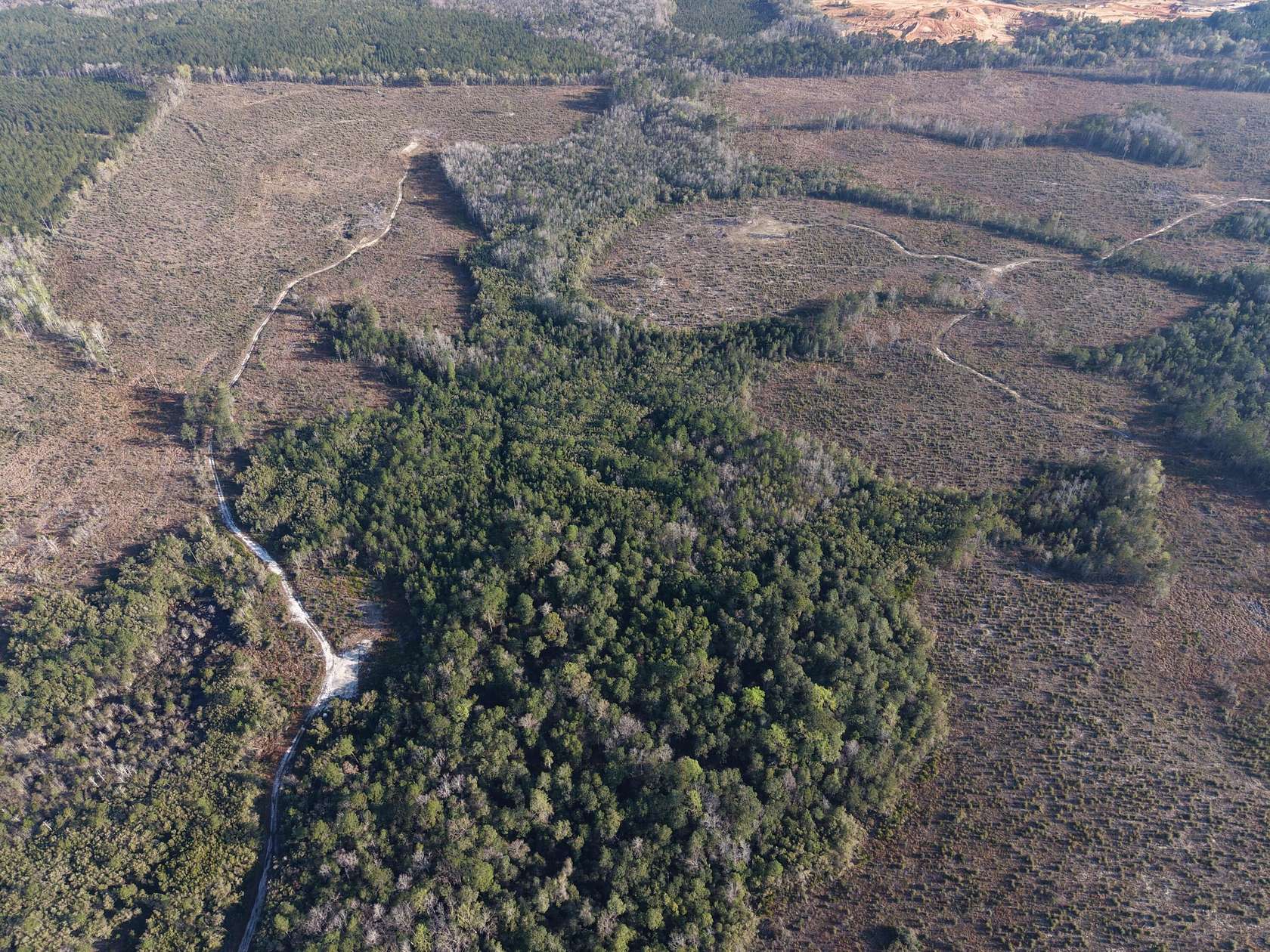 526 Acres of Recreational Land for Sale in Westville, Florida