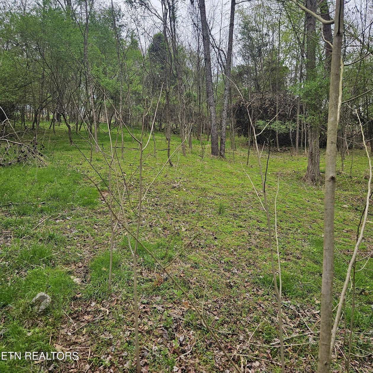 0.7 Acres of Residential Land for Sale in Mooresburg, Tennessee