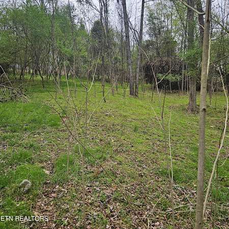 0.7 Acres of Residential Land for Sale in Mooresburg, Tennessee