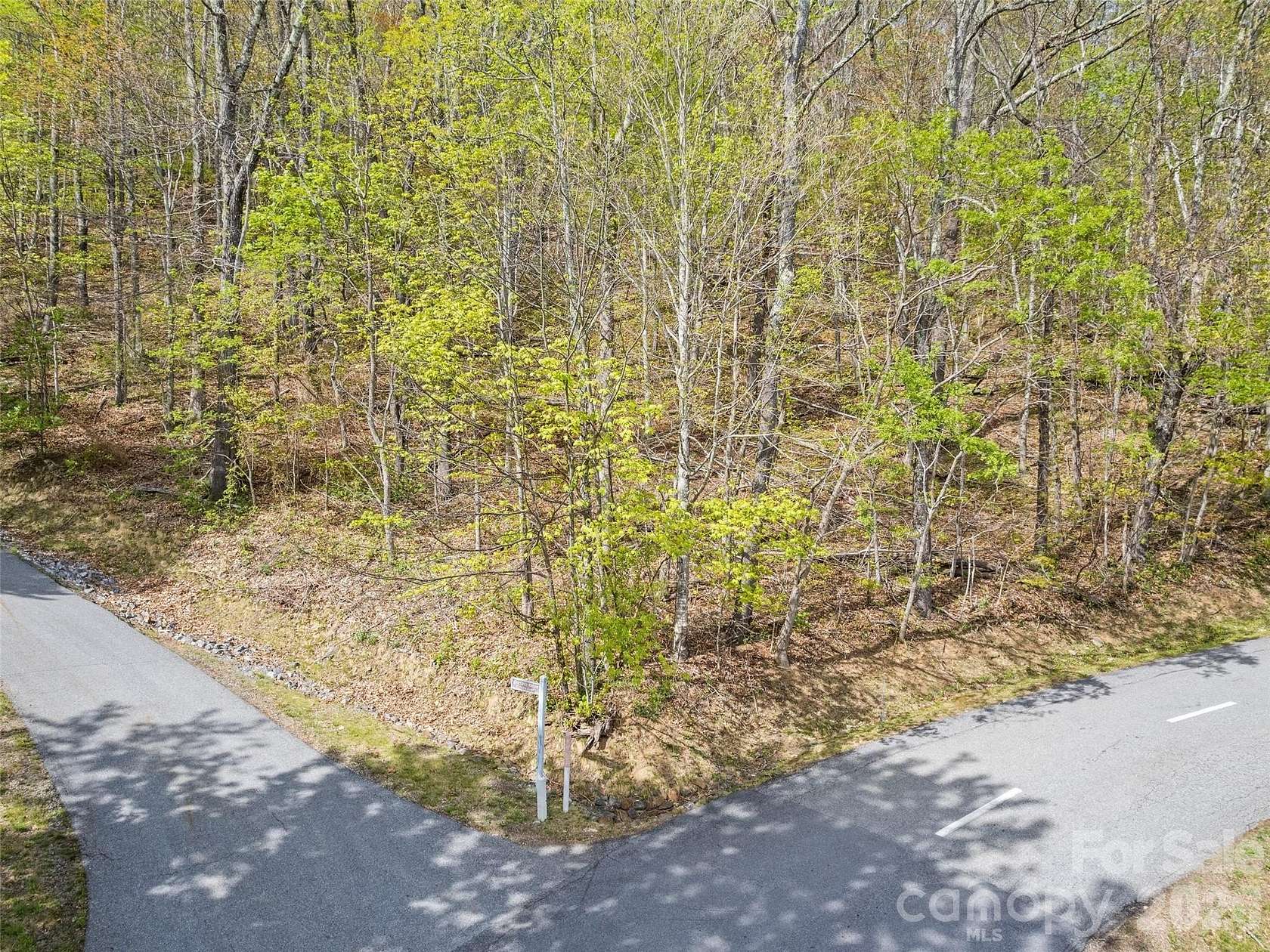 1 Acre of Residential Land for Sale in Waynesville, North Carolina