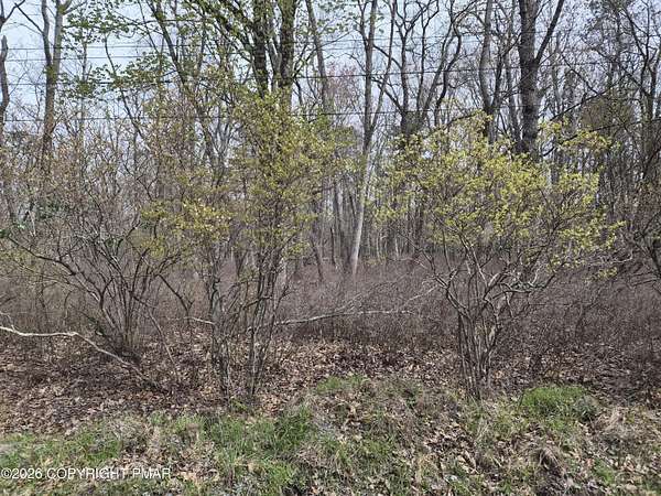 2 Acres of Residential Land for Sale in Canadensis, Pennsylvania