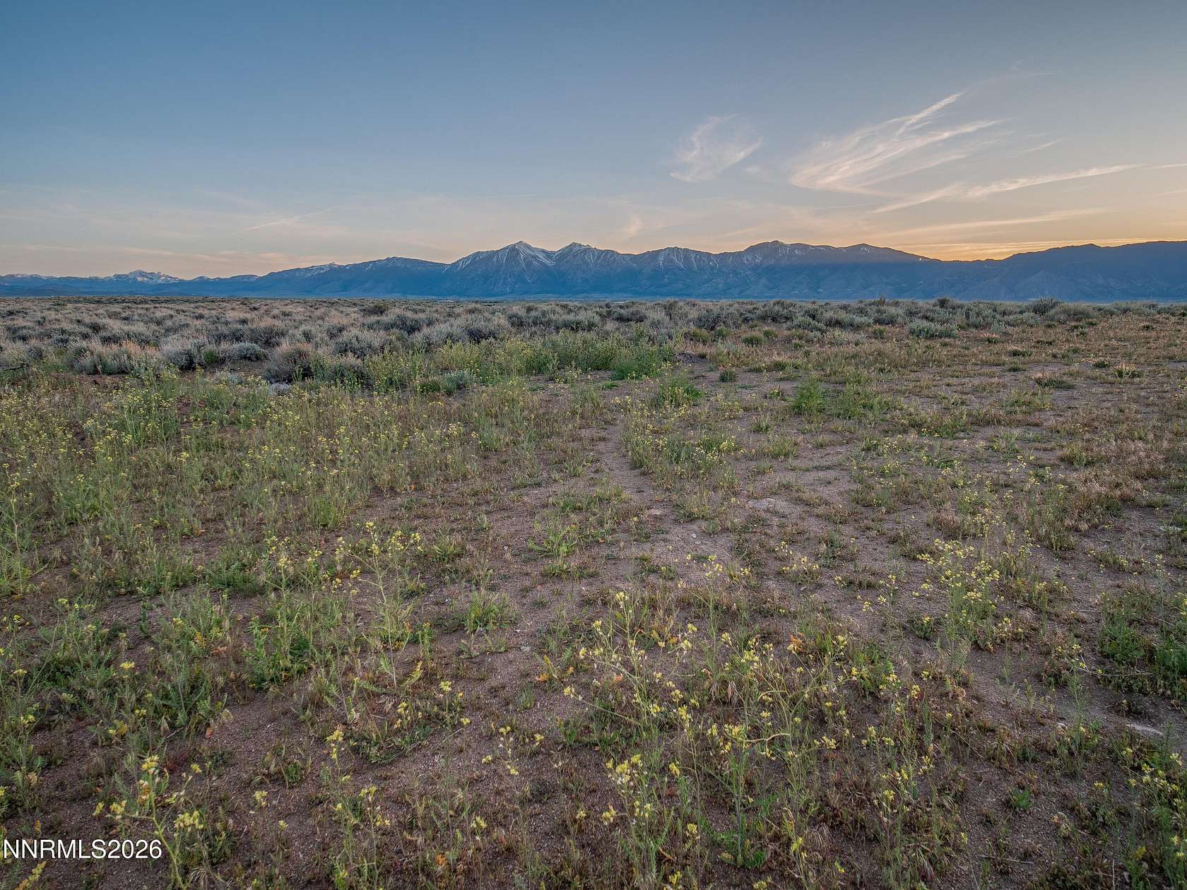 79.5 Acres of Recreational & Residential Land for Sale in Minden, Nevada