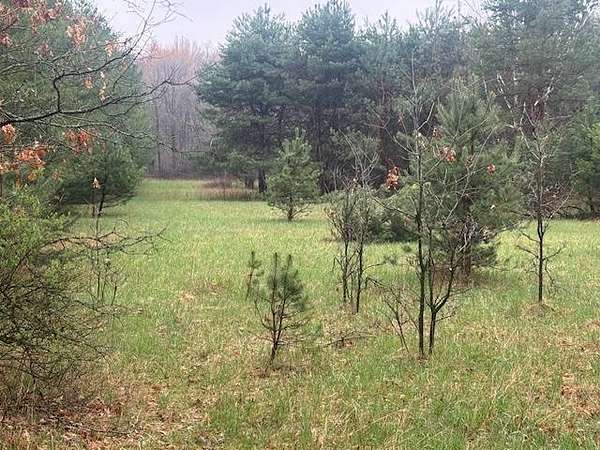 18 Acres of Recreational & Residential Land for Sale in Almond, Wisconsin
