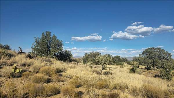 10 Acres of Recreational & Residential Land for Sale in Kingman, Arizona
