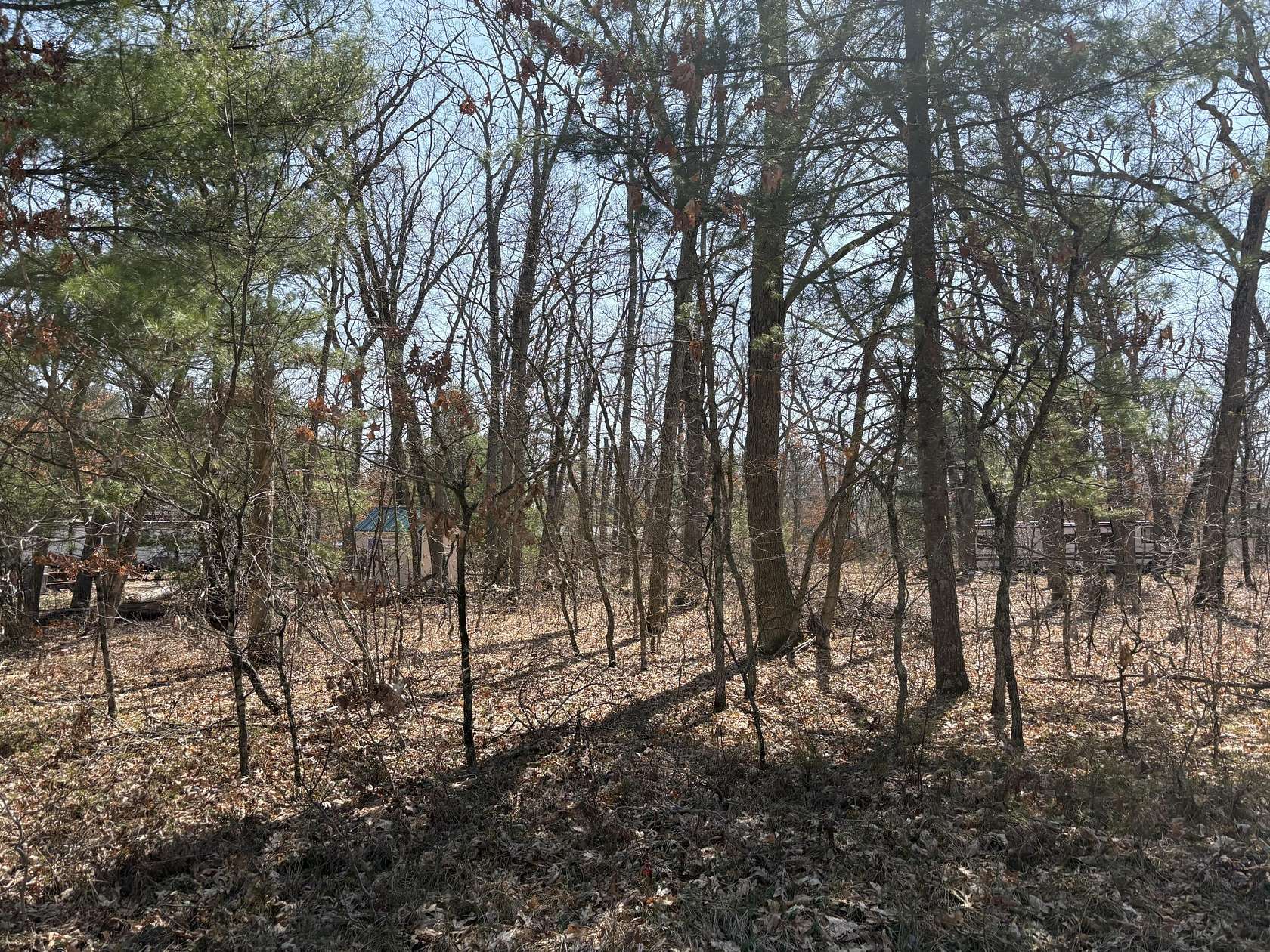 0.33 Acres of Land for Sale in Baldwin, Michigan