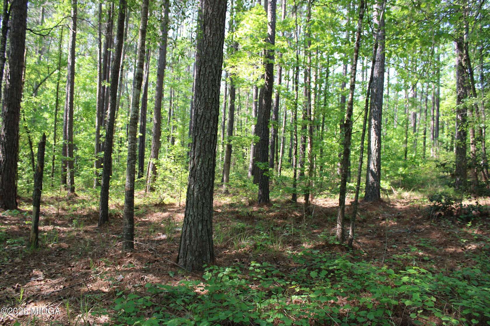 24.8 Acres of Recreational & Residential Land for Sale in Forsyth, Georgia