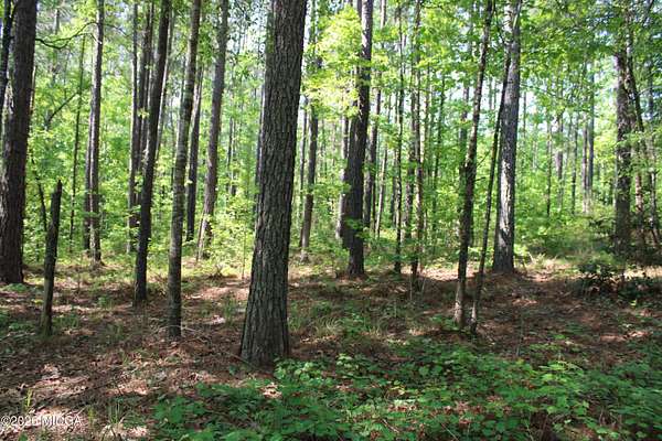 24.8 Acres of Recreational & Residential Land for Sale in Forsyth, Georgia