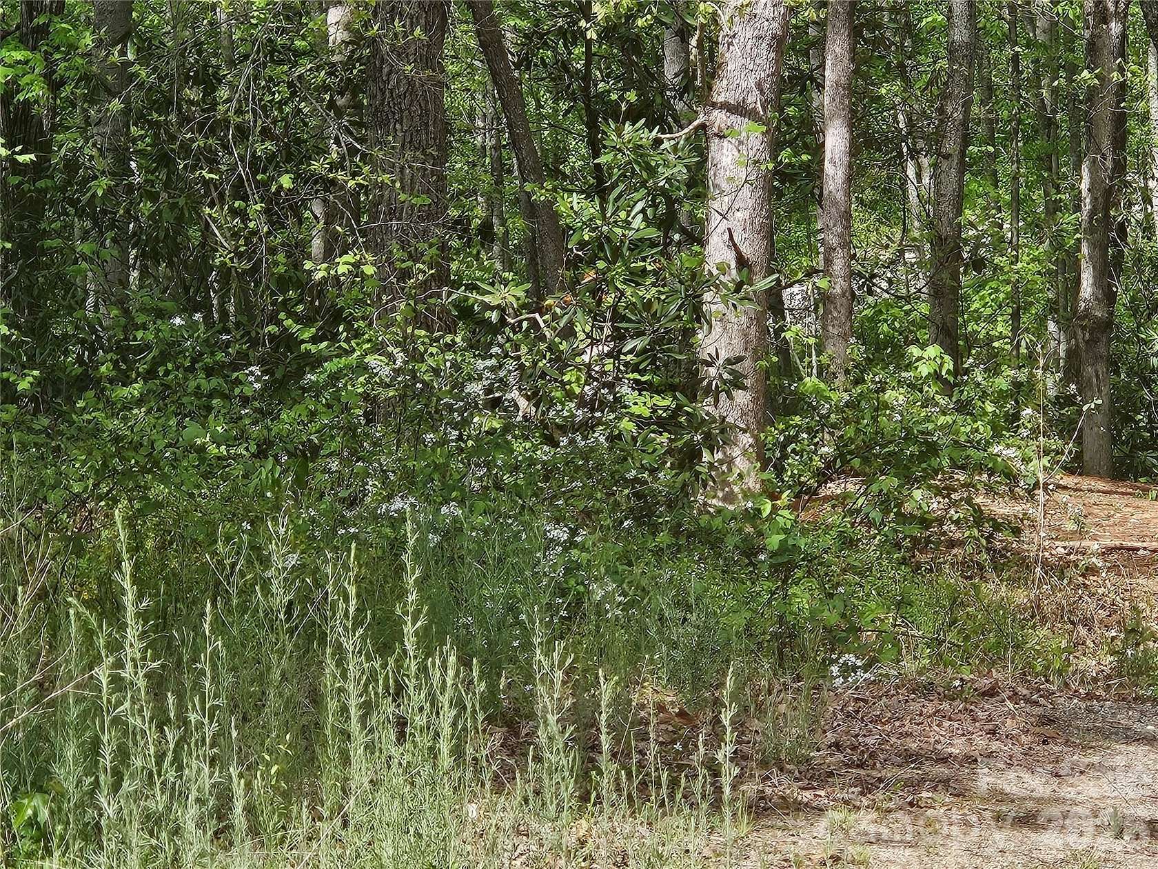 0.93 Acres of Land for Sale in Candler, North Carolina