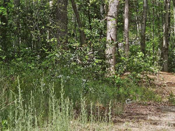 0.93 Acres of Land for Sale in Candler, North Carolina
