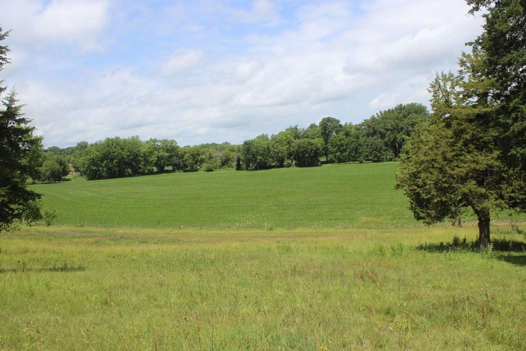 42 Acres of Land for Sale in Maquoketa, Iowa