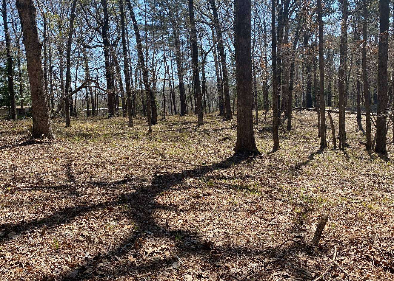 2.59 Acres of Land for Sale in Many, Louisiana