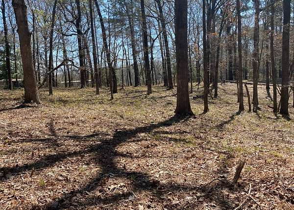 2.59 Acres of Land for Sale in Many, Louisiana