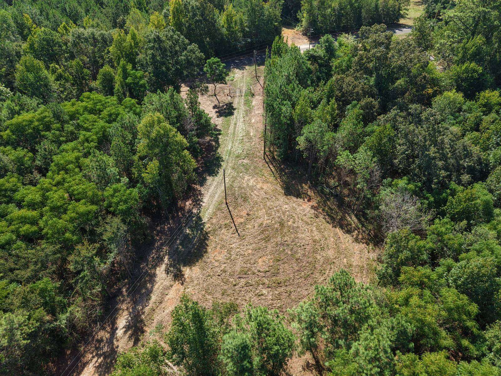 19 Acres of Land for Sale in Greensboro, Alabama