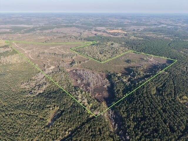 198 Acres of Recreational Land for Sale in Westville, Florida