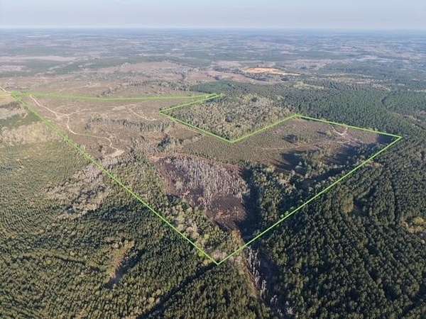 198 Acres of Recreational Land for Sale in Westville, Florida