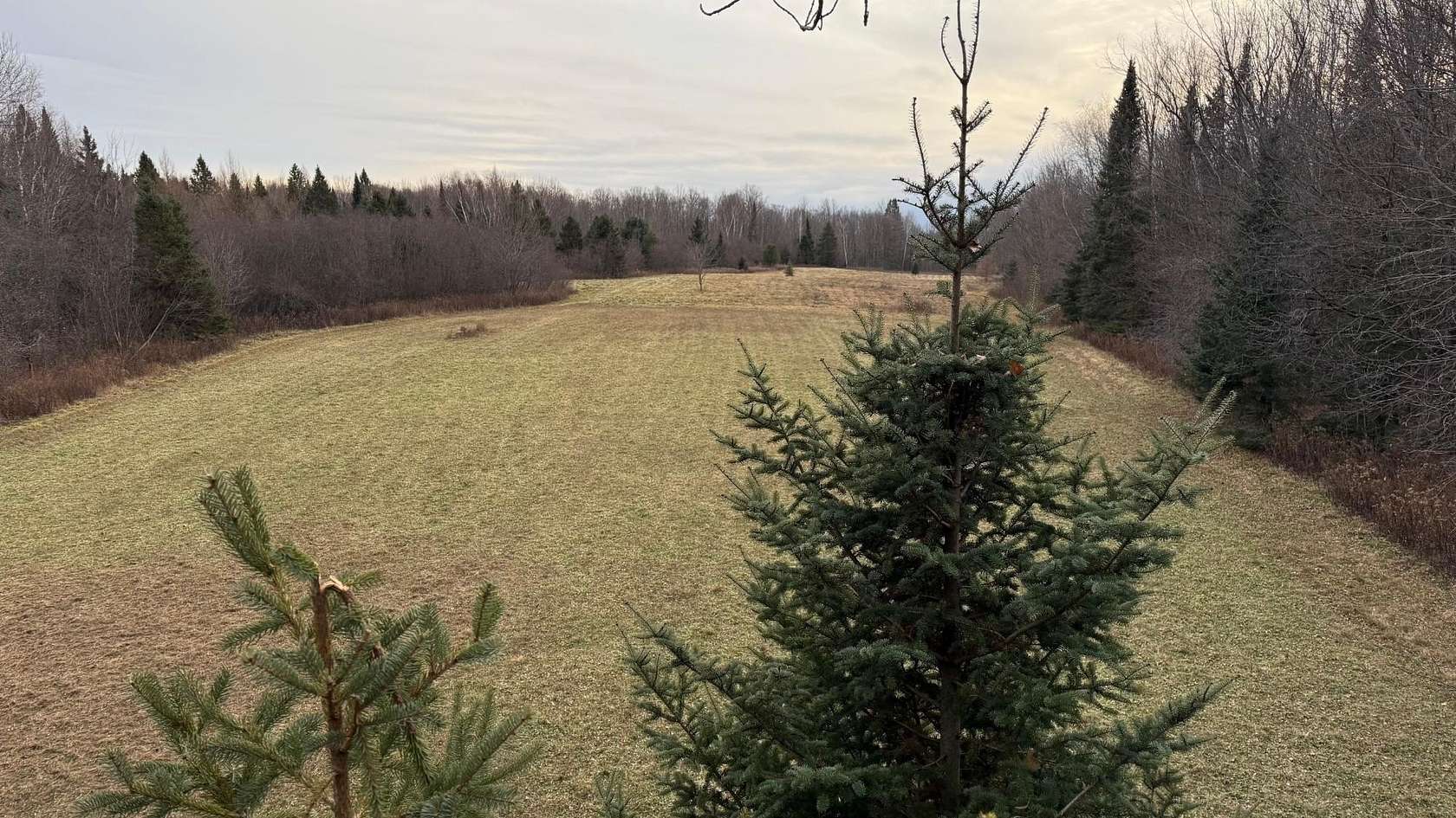 80 Acres of Recreational & Residential Land for Sale in Butternut, Wisconsin