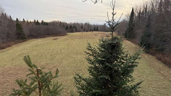 80 Acres of Recreational & Residential Land for Sale in Butternut, Wisconsin