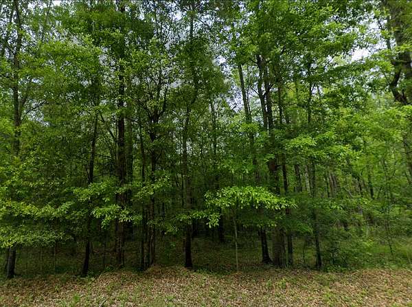 2 Acres of Residential Land for Sale in Tuskegee, Alabama