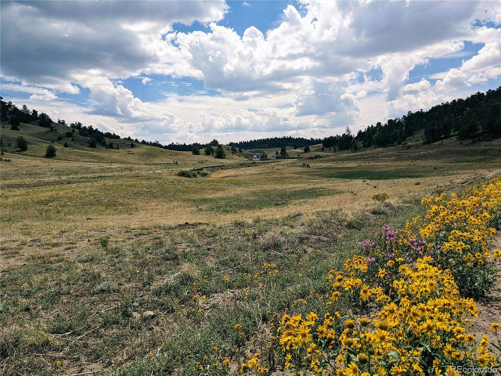 5 Acres of Residential Land for Sale in Hartsel, Colorado