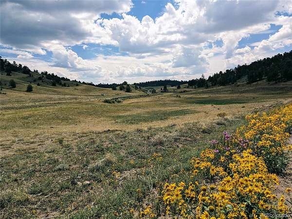 5 Acres of Residential Land for Sale in Hartsel, Colorado